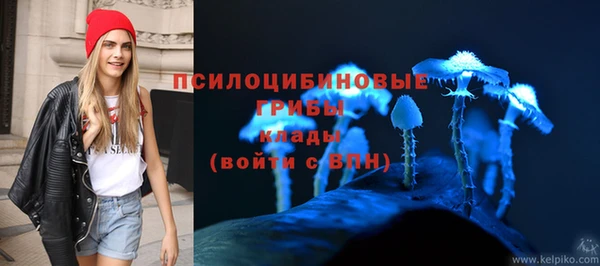 прущая мука Арсеньев