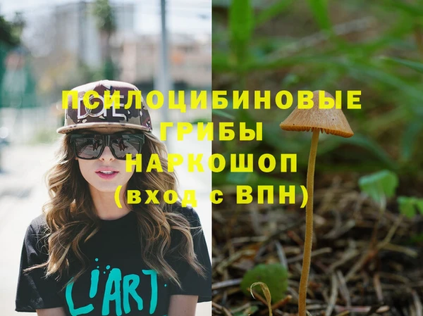 прущая мука Арсеньев