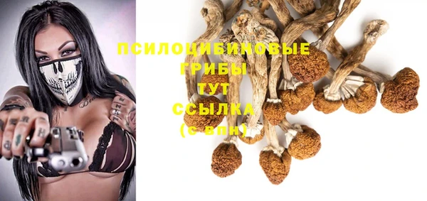 прущая мука Арсеньев